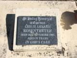 image of grave number 813306
